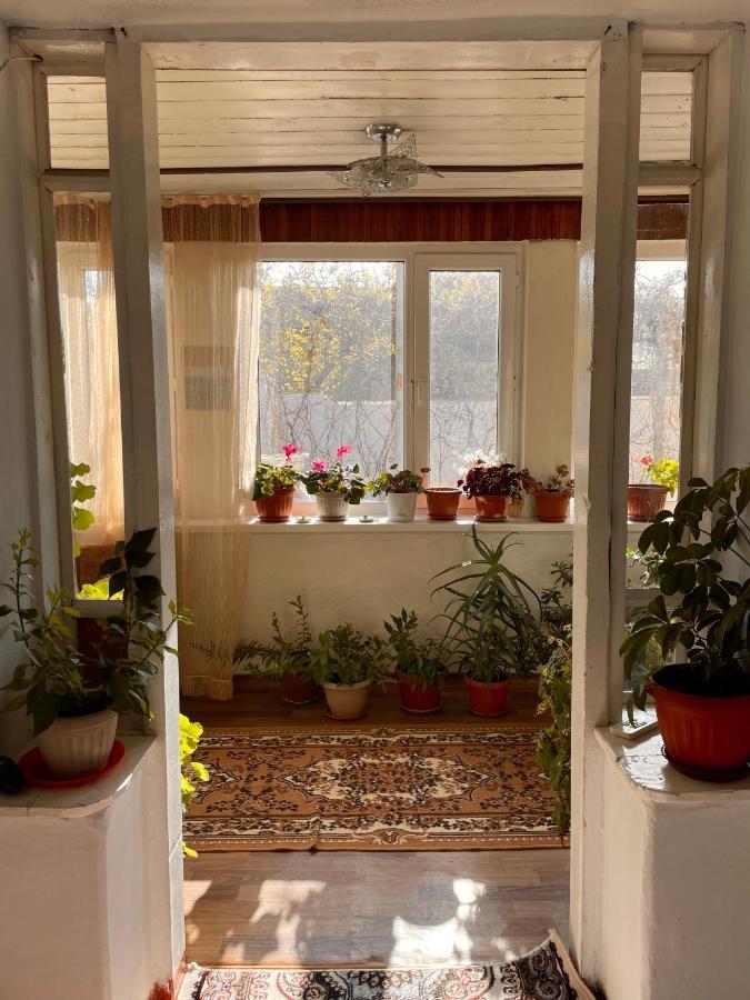 Gulnara Guest House Balykchy Екстер'єр фото