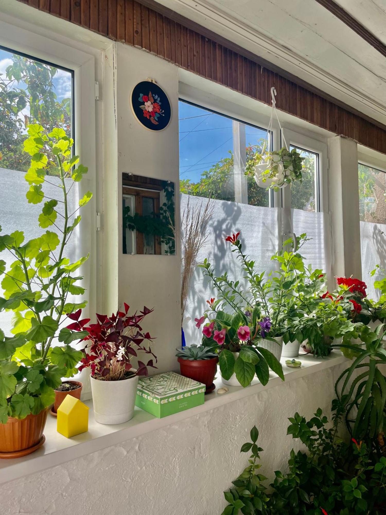 Gulnara Guest House Balykchy Екстер'єр фото